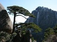 Private 2 days tour to visit Huangshan Mountain and Hongcun village 