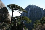 Private 2 days tour to visit Huangshan Mountain and Hongcun village 