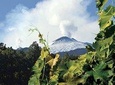 Etna and Wines Tour