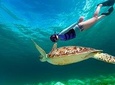 Riviera Maya Best Deal 3x1: Snorkeling, Zip Lines & Rappel