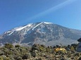 Kilimanjaro Day Trip from Moshi 