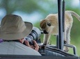 10 Days / 9 Nights Join group safari