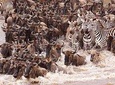 11 Days / 10 Nights Join group safari