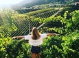 Prosecco hills hiking tour and wine tasting