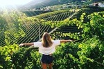 Prosecco hills hiking tour and wine tasting
