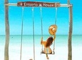 Magical Holbox Tour from Playa del Carmen and Riviera Maya