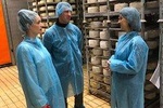 Cagliari: Guided tour of a dairy