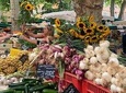 Gourmet & Cultural Tour Aix En Provence English / Espanol