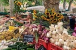 Gourmet & Cultural Tour Aix En Provence English / Espanol