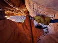 Guided tours in southern Utahs slot canyons, Indian ruins, and national parks. 