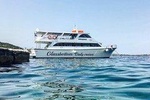 Mount Athos Sightseeing Cruise with Luxurious Glassbottom 