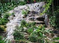 Konoko Falls and Garden Tour from Port Anotonio