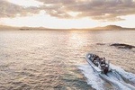 Water Taxi + Isla De Lobos