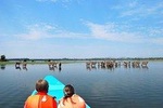 4 Days Special Lake Naivasha - Masai mara safari