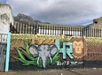 Cape Town Woodstock Street Art Walking Tour