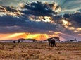 6 Days / 5 Nights Join group safari
