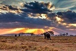 6 Days / 5 Nights Join group safari