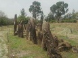 Tiya ( UNSCO ) site and Adadi Maryam Church 