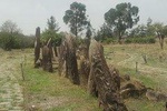 Tiya ( UNSCO ) site and Adadi Maryam Church 