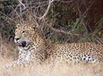 Nature, Hills and Wildlife (6 Days)
