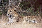 Nature, Hills and Wildlife (6 Days)