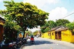 Transfer Hoi An to Da Nang airport