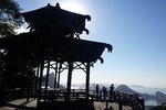 Tijuca Forest Hiking tour - Rio de Janeiro by Rio Eco Trip
