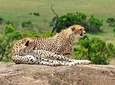 7 Days Tuji- Enjoy Kenya Safari