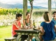 Full Day Winemaker's Tour in Marlborough