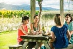 Full Day Winemaker's Tour in Marlborough