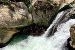 Puerto Rico: El Yunque Rainforest & Waterfalls Half-Day Tour
