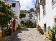 Óbidos and Buddha Eden Half Day PRIVATE Experience