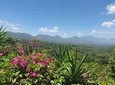Full Day Ruta de Las Flores visit four Colonial Towns and Coffee Farm