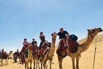 13 Days Tour Egypt Cairo, Giza, Alexandria, Aswan, Luxor and Hurghada 