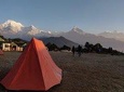 Dhampus Day Hiking Tour from Pokhara