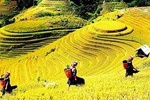 Muong Hoa Valley - Sapa Trekking Villages