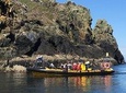 Exhilarating Rib experience - Dingle sea safari 