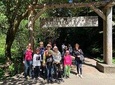 Amazing Muir Woods and Sausalito Tour