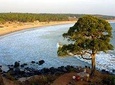 Cochin to Goa - The Malabar Coast (9 Days)