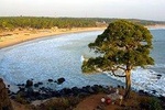 Cochin to Goa - The Malabar Coast (9 Days)