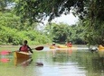 Kayak Safari
