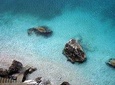 Visit Vlore & Himare Beaches includes lunch