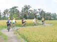 Bali Cycling all Inclusive