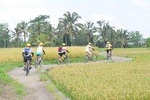 Bali Cycling all Inclusive