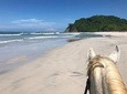 Safari & Barigona Beach on horseback