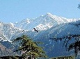 Triund trek with camping - BanBanjara