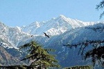 Triund trek with camping - BanBanjara