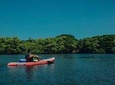 Tamarindo Kayak Estuary Mangrove Tour