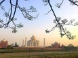 Exceptional One Day Tajmahal Trip by Car from Delhi