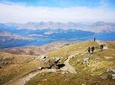 Ben Lomond Hill Walking Day Trip from Edinburgh 